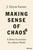 Making Sense of Chaos: A Better Economics for a Better World