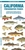 California Freshwater Fishes: A Folding Guide to Native and Introduced Species