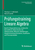 Prüfungstraining Lineare Algebra: Band II: Diagonalisierung, Jordansche Normalform, Vektorräume mit Skalarprodukt, Bilineare Abbildungen, Hauptachsentransformation, Dualräume und Tensorprodukte