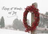 Tidings of Wonder and Joy Christmas Cards