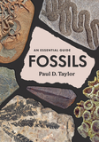 Fossils: An Essential Guide