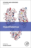 Hypothalamus