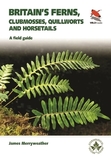 Ferns: Clubmosses, Quillworts and Horsetails of Britain and Ireland