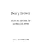 Kerry Brewer: Where No Bird Can Fly Nor Fish Can ? Stills from Painting: Stills from Painting