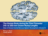 The Human Brain during the Third Trimester 310? to 350?mm Crown-Rump Lengths: Atlas of Central Nervous System Development, Volume 13