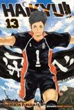 Haikyu!!, Vol. 13: Playground