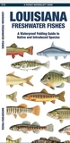 Louisiana Freshwater Fishes: A Folding Guide to Native and Introduced Species