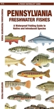 Pennsylvania Freshwater Fishes: A Folding Guide to Native and Introduced Species