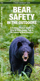 Bear Safety in the Outdoors