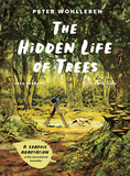 The Hidden Life of Trees: A Graphic Adaptation: (Of the International Bestseller)