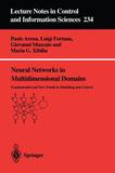 Neural Networks in Multidimensional Domains: Fundamentals and New Trends in Modelling and Control