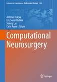 Computational Neurosurgery