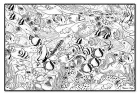 Jumbo Colour-In Poster - Tropical Sea Life