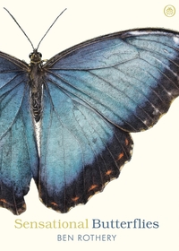 Sensational Butterflies Sensational Butterflies
