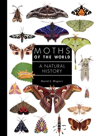 Moths of the World: A Natural History