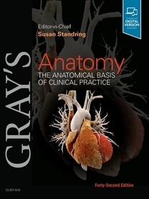 Gray's Anatomy: The Anatomical Basis of Clinical Practice Gray's Anatomy: The Anatomical Basis of Clinical Practice