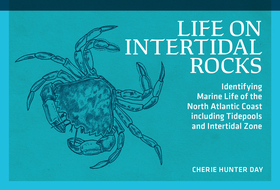 Life on Intertidal Rocks: Identifying Marine Life of the North Atlantic Coast, Including Tidepools and Intertidal Zone