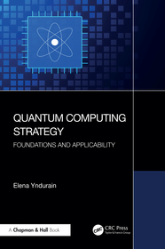 Quantum Computing Strategy: Foundations and Applicability