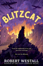 Blitzcat