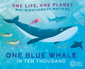 One Life, One Planet: One Blue Whale in Ten Thousand: Why Biodiversity Matters