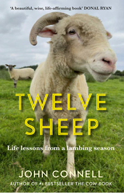 Twelve Sheep: Life lessons from a lambing season