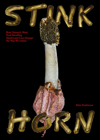 Stinkhorn: How Natures Most Foul Smelling Mushroom Can Change the Way We Listen