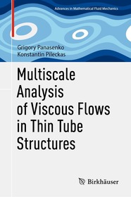 Multiscale Analysis of Viscous Flows in Thin Tube Structures Multiscale Analysis of Viscous Flows in Thin Tube Structures