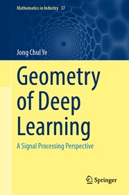 Geometry of Deep Learning: A Signal Processing Perspective